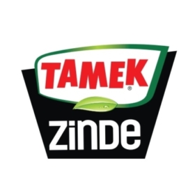 Tamek Zinde