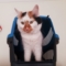 Uvertür6