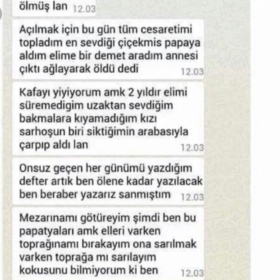 Şe_11elanr
