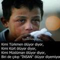 Dalay33