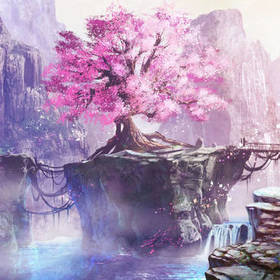 SakuraxLotus