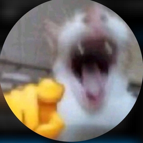 0zero