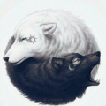 HulyaCm