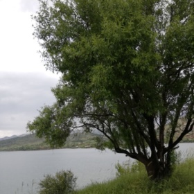 DenizYılmaz06