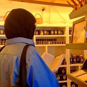 Berfincanimya