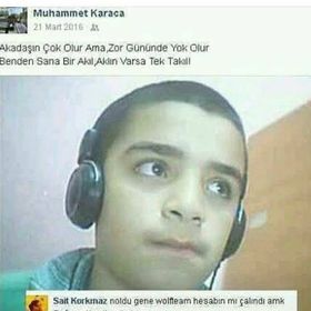 Zirzop31