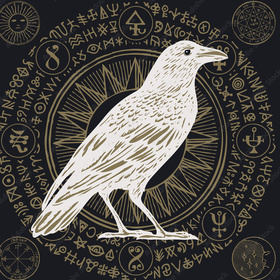 Raven455_