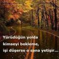 By1142