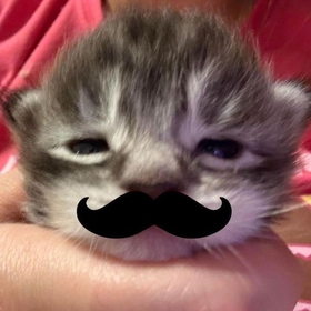 lallalalallayy