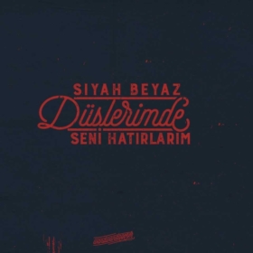 Sarışın_61