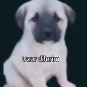 Çileksudee