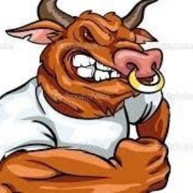 OturanBoğaa