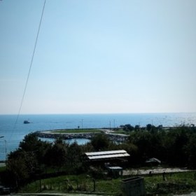 golloma