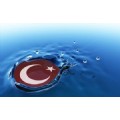 evren1623