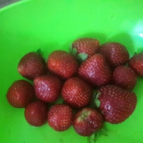 CeyceCey