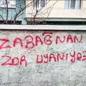 Spinezolla