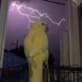jsbdjexnek