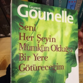 Zeynepsena72946