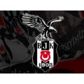 romba16