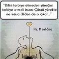 aşkbulmayan