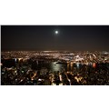 Night_Bird
