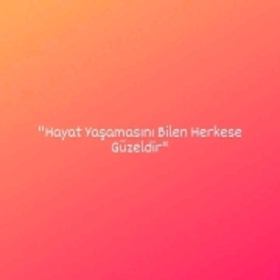 HknSyl06