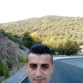 erol1010