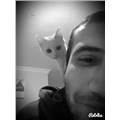 lifehacker