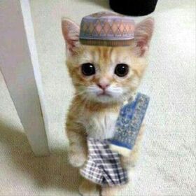 Muhammef