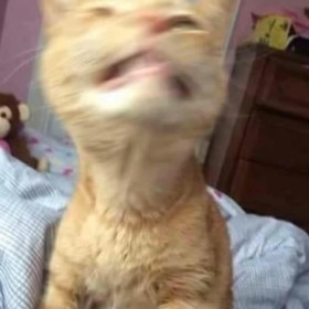 Portu