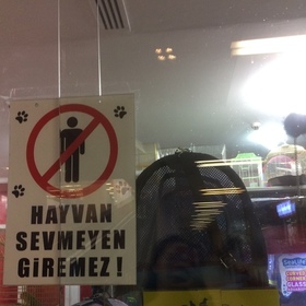 Cuneytinhatunubuse