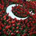 Bulutcan37