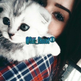 Blue_Crocus