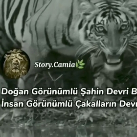serdaryimazzzz