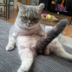ahsen_0