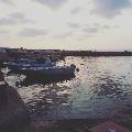 aysennn4