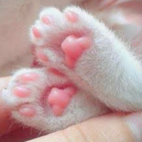 ᴅеіѕт