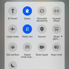 Gizli161
