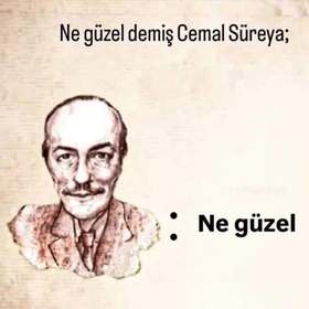 Histenge12