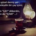 nysemoyum13