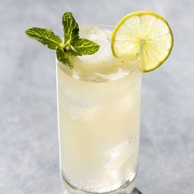 MOJITO16