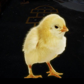 erghiaioakkskks