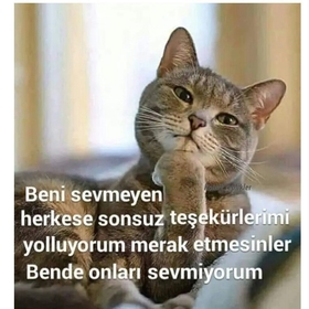 yagmursema