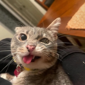 MilliOlmayanBirii