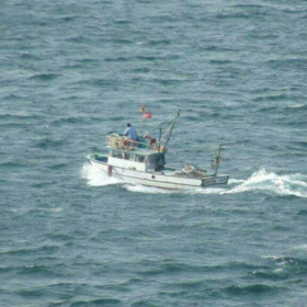 sahin28028