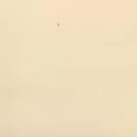 eysann_0