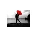elmander3459