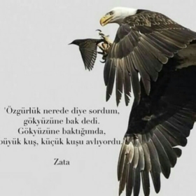 gizlikoçer