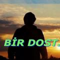 Birdoost