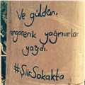 bibokyedim